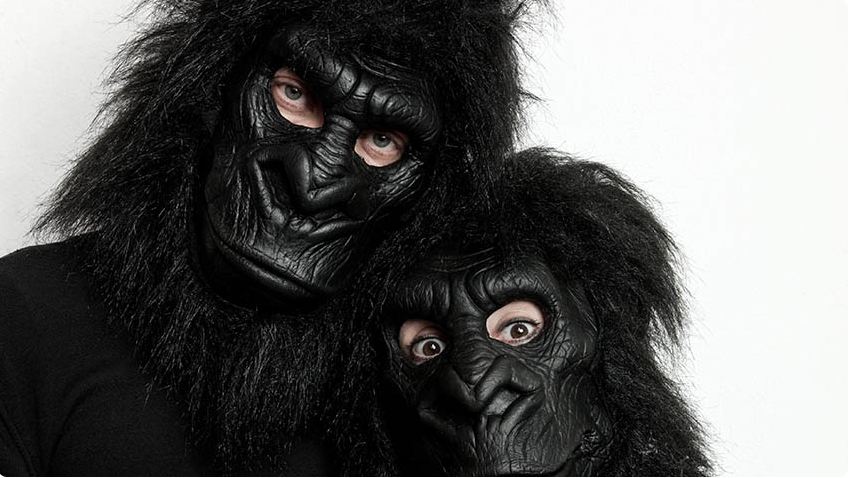 gorilla