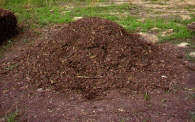 compost